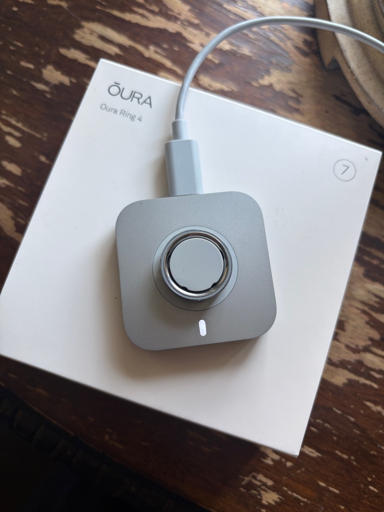 Oura Ring Silver Oura Ring Silver